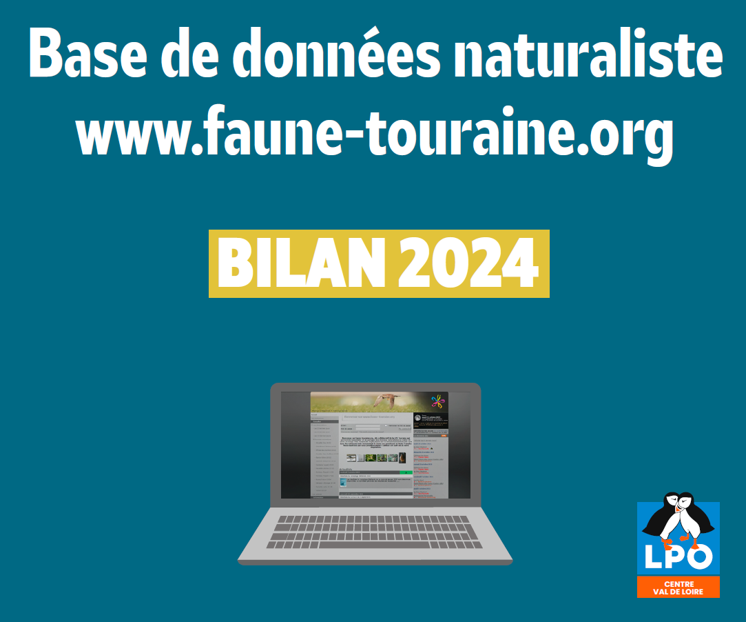 Rétrospective Faune-Touraine 2024 (37)